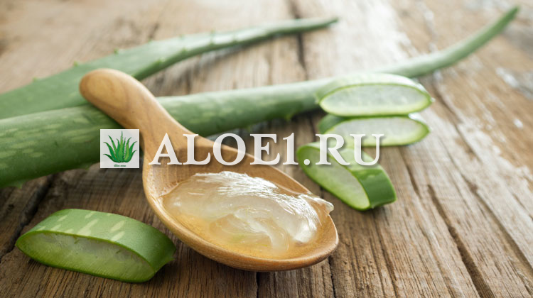 Aloe prosztatagyulladás kezelésére